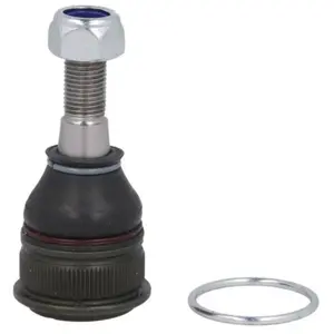 Comparateur de prix : Delphi Fuseekogel