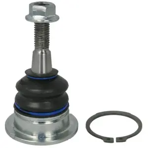 Comparateur de prix : Delphi Bovenste Fuseekogel