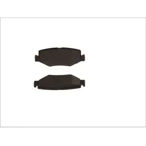 Remblokkenset schijfrem LP2172 Delphi pas cher