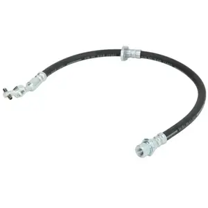 Delphi Remslang pas cher