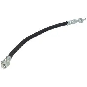 Delphi Remslang pas cher