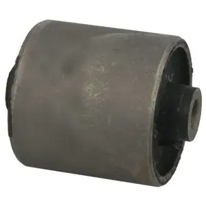 Delphi Draagarmrubber pas cher