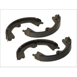 Delphi Remschoenset parkeerrem pas cher