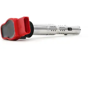 DELPHI Bobine d'allumage pour AUDI: A5, S4, A4, S5, A6, S8, SQ5, Q7, A... pas cher