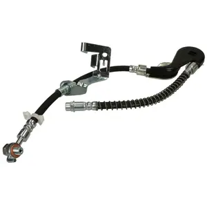 Comparateur de prix : Delphi Remslang
