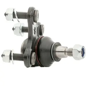 Comparateur de prix : Delphi Onderste Fuseekogel (r)