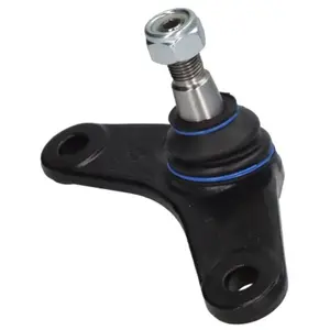 Comparateur de prix : Delphi Onderste Fuseekogel (r)