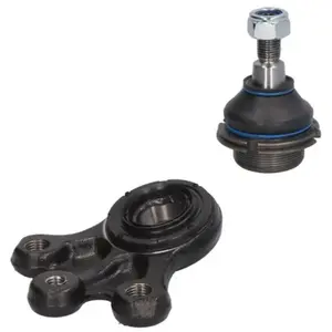 Delphi Complete Set Fuseekogel pas cher