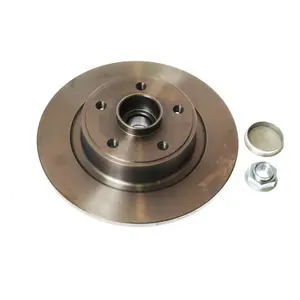 Remschijf BG9026RS Delphi pas cher