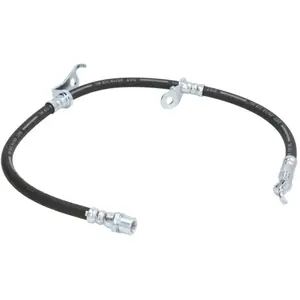 Delphi Remslang pas cher