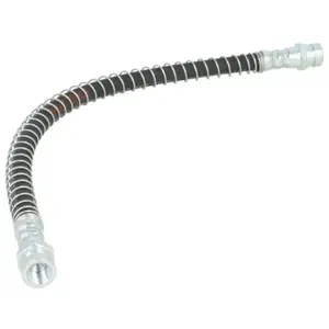 Delphi Remslang pas cher