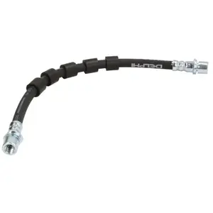 Delphi Remslang pas cher