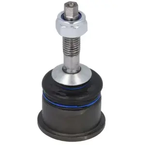 Fuseekogel TC2904 Delphi pas cher