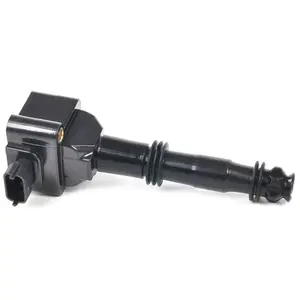 Delphi Bobine pas cher