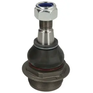 Comparateur de prix : Delphi Onderste Fuseekogel (r)