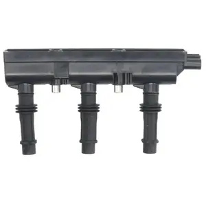 Delphi Bobine pas cher