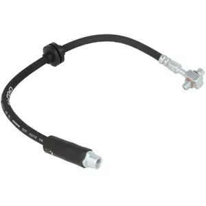 Delphi Remslang pas cher