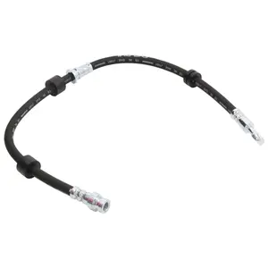 Delphi Remslang pas cher