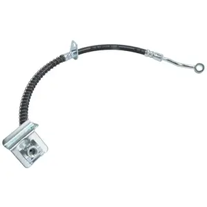 Comparateur de prix : Delphi Remslang