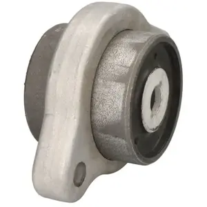 Comparateur de prix : Draagarmrubber TD1834W Delphi