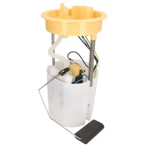 Brandstoftoevoereenheid FG242312B1 Delphi pas cher