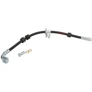 Comparateur de prix : Remslang LH7749 Delphi