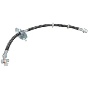 Delphi Remslang pas cher