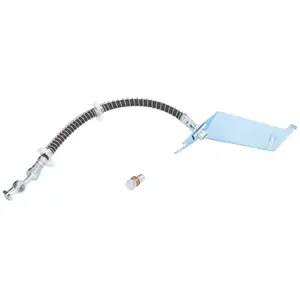 Delphi Remslang pas cher