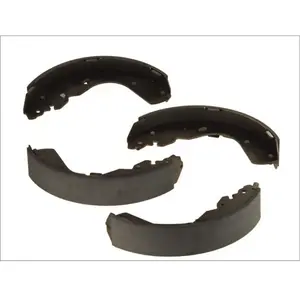 Remschoenset LS1897 Delphi pas cher