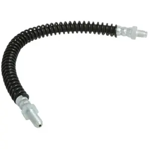 Delphi Remslang pas cher