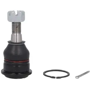 Comparateur de prix : Delphi Onderste Fuseekogel