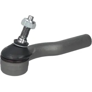 Comparateur de prix : Delphi Spoorstangkogel (r)