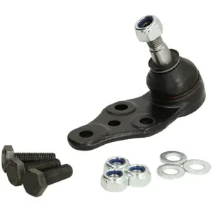 Comparateur de prix : Delphi Onderste Fuseekogel