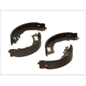 Delphi Remschoenset pas cher