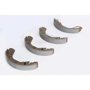 Delphi Remschoenset pas cher