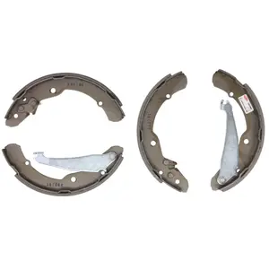 Delphi Remschoenset pas cher