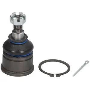 Comparateur de prix : Delphi Onderste Fuseekogel