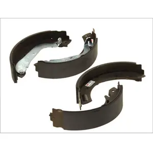 Delphi Remschoenset pas cher