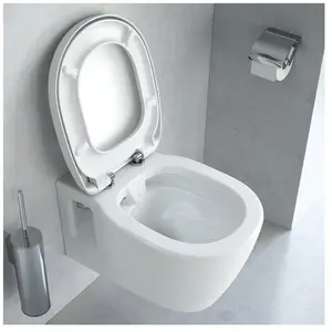 Cuvette WC suspendue sans bride + abattantVendu pargalaxus