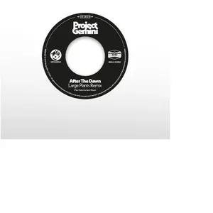 Mr BONGO After The Dawn (Large Plants Remix) / Darkness Rising pas cher