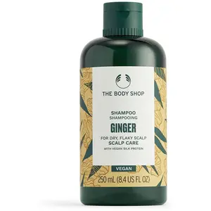 Ginger champú 250 ml pas cher