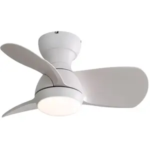 EIFSON Ventilateur de plafond 58 cm, avec 3 pales en ABS, lumière LED ... pas cher