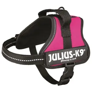 Comparateur de prix : TRIXIE Julius K9 IDC Powertuig - Hondentuig - Mini-Mini - XS - Fuchsia
