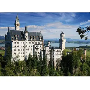 Unbekannt 75307-AB02 D-Toys Puzzle 500 pièces Château de Neuschwanstein Multicolore pas cher
