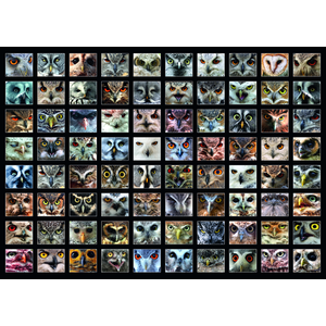 D-Toys- Puzzle 1000 pcs, 74331FA01, Uni pas cher