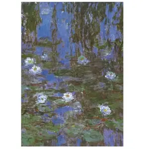 Puzzle 1000 pièces D-Toys Claude Monet Nymphéas