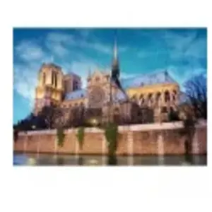 Unbekannt DToys Cathédrale Notre-Dame de Paris, France 69337 pas cher