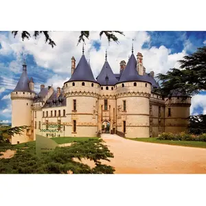 DToys Châteaux de France - Château de Chaumont 69542 pas cher