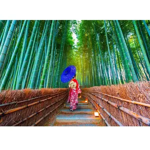 Enjoy Puzzle Asian Woman in Bamboo Forest Puzzle-1293 pas cher