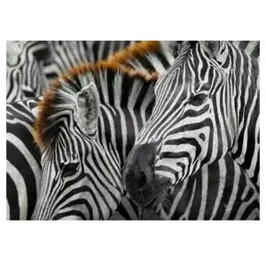 Enjoy Puzzle Zèbres Puzzle-2103 pas cher